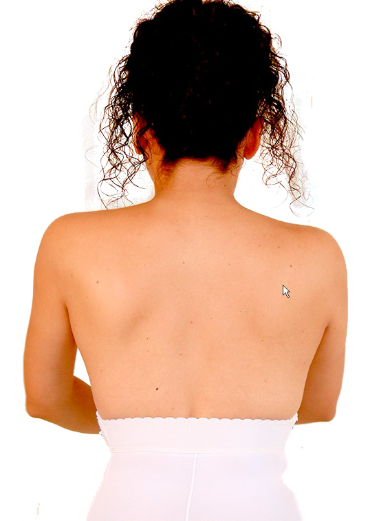 BACK-Waist Lower/Zippered/Brief/ 310L 2